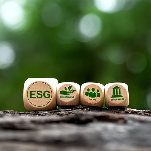 Navigating global standards (ISSB, GRI) and UAE frameworks and enhancing transparency through digital ESG dashboards and third-party audits.